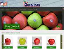 Tablet Screenshot of gulbudak.com.tr